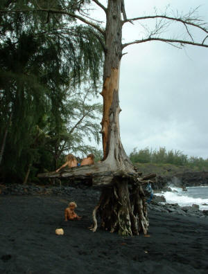 Kehena Clothing Optional Black Sands Beach