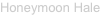 shapeimage_2_link_0