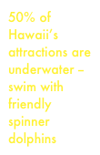 50% of Hawaii’s attractions are underwater -- swim with friendly spinner dolphins